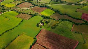 Land Legislative Regimes in Kenya